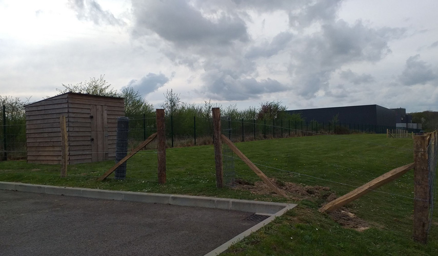 Une mini ferme au sein d'une entreprise