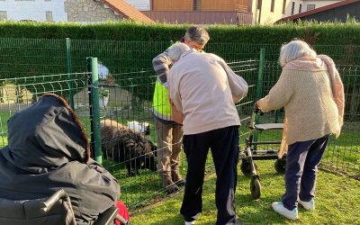 Une mini-ferme pour la résidence La Varenne