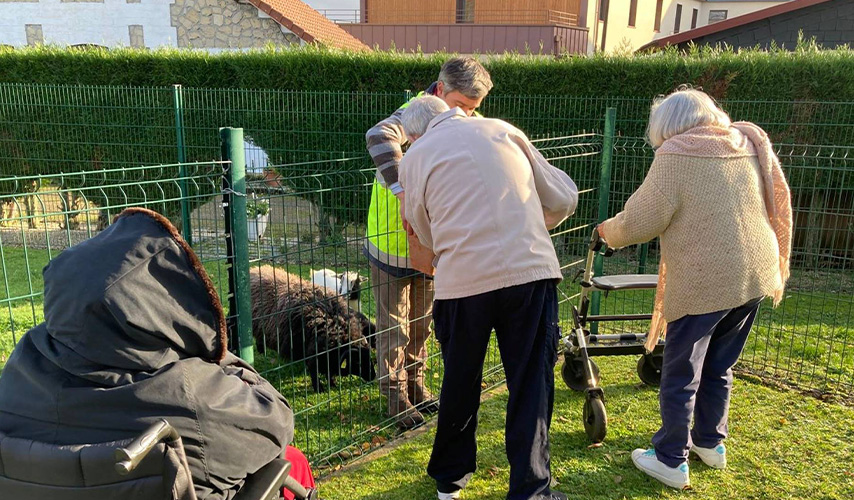 Mini ferme au sein de l'établissement La Varenne