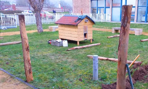 Installation d'un poulailler côté volaille 