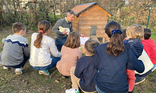 Installation d'une mini ferme dans une école