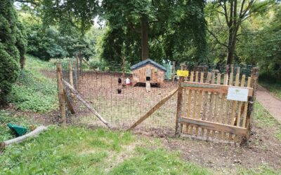 Une mini-ferme chez Eméis